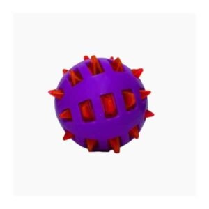 Basil Spike Squeaky Chew Ball for Dogs