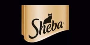 sheba